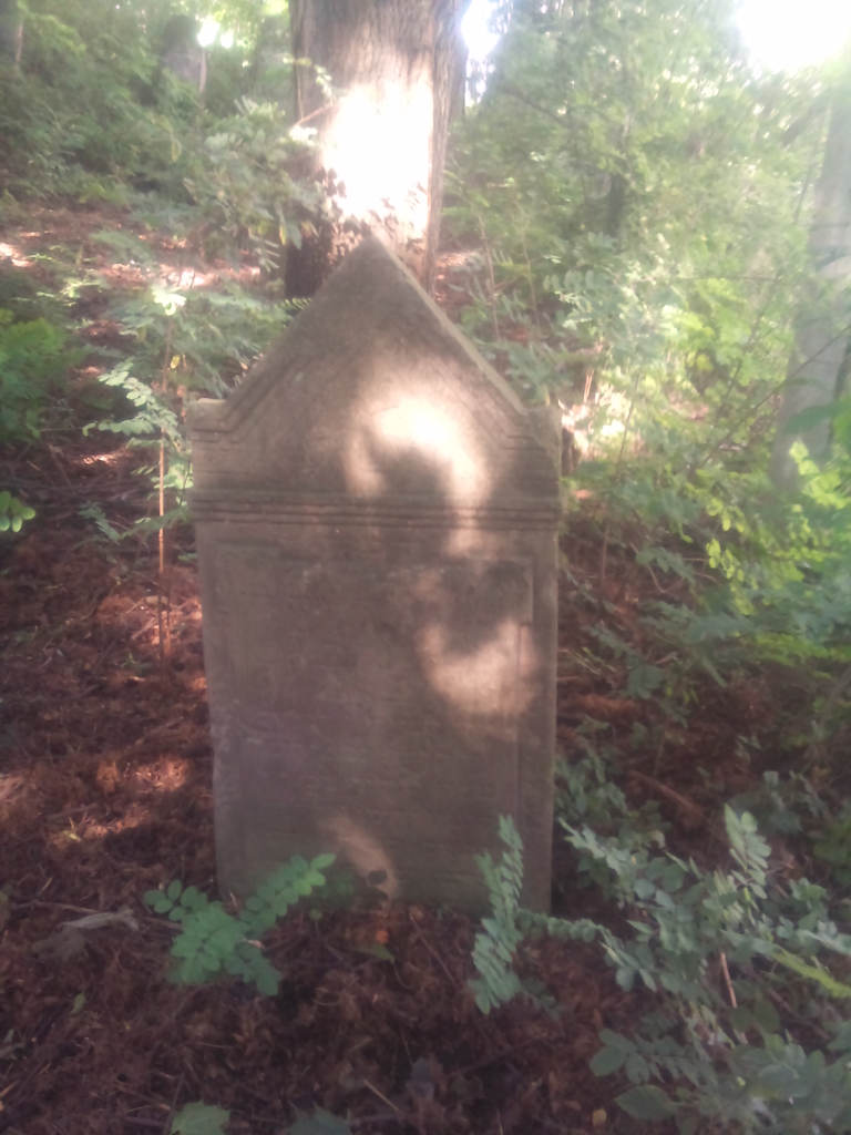 2012-08-28 10.27.06 - 