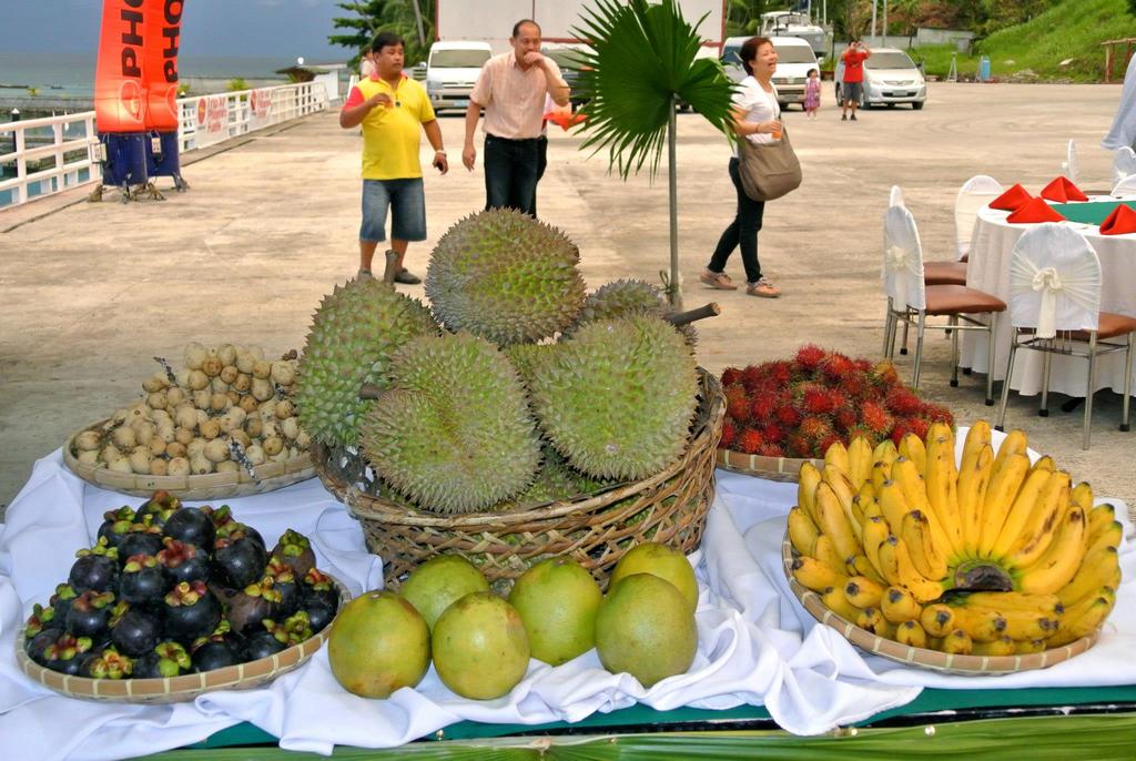 243581 10150907078337395 739656697 o - 