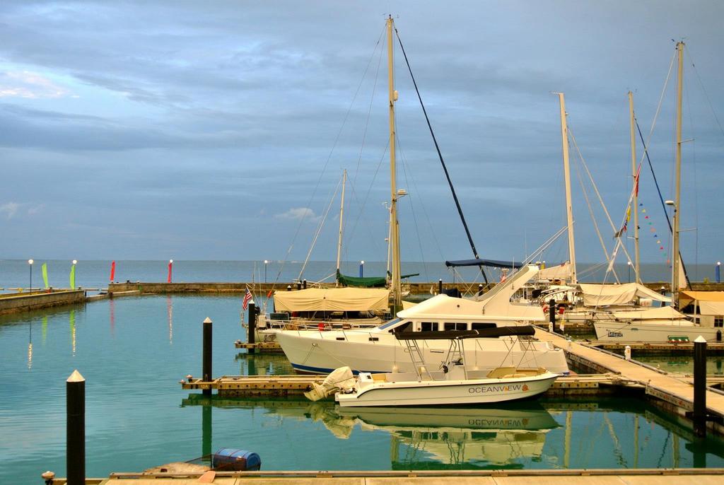 202701 10150907077382395 944635247 o - 