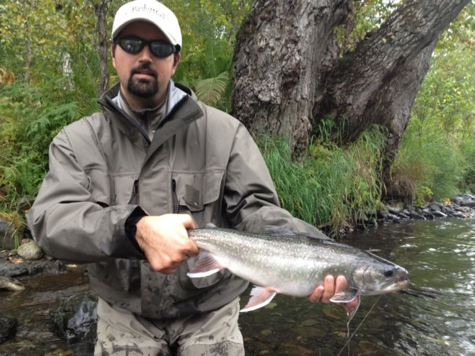 549579 10151197156458454 1641370131 n - 