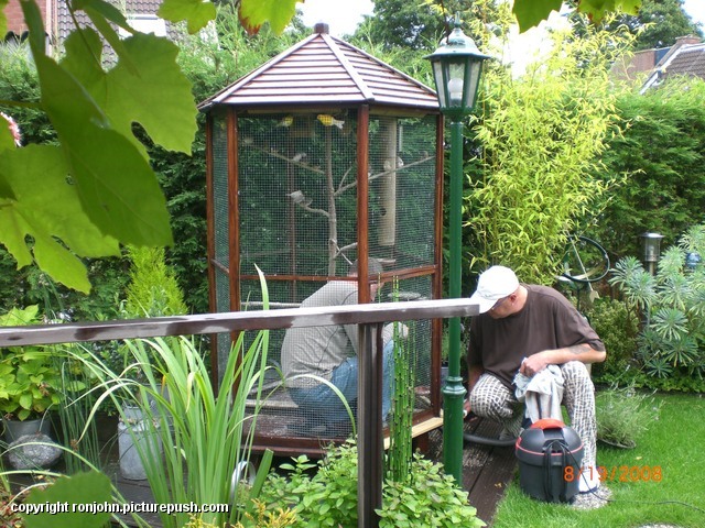 Tuin 20-07-08 voliÃ¨re schoon maken 02 In de tuin 2007