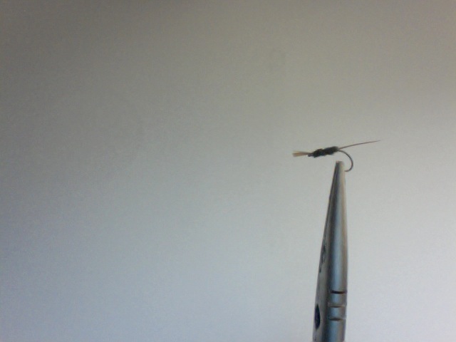 Photo on 2012-09-10 at 16.43 - 