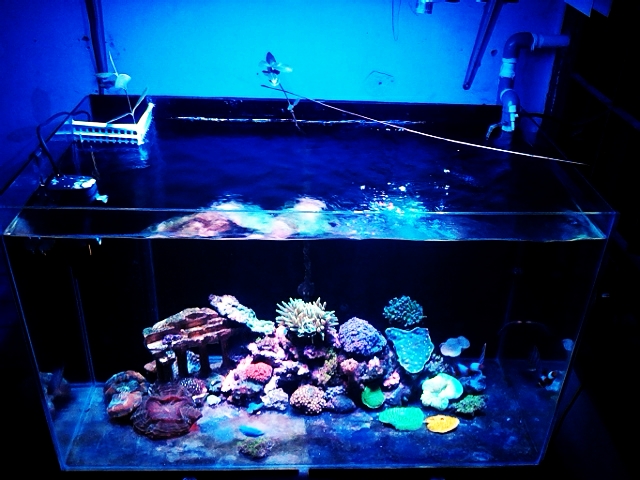 C360 2012-09-10-18-21-04 - 