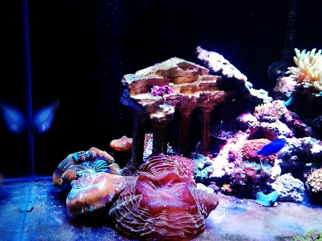 C360 2012-09-10-18-22-03 - 