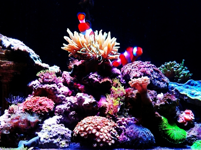 C360 2012-09-10-18-22-38 - 