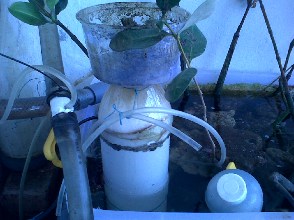 IMG00764-20120911-1100 - 