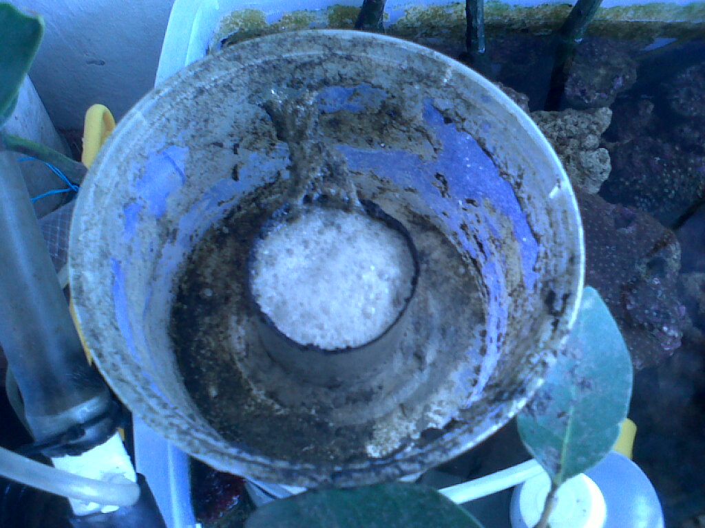 IMG00765-20120911-1101 - 