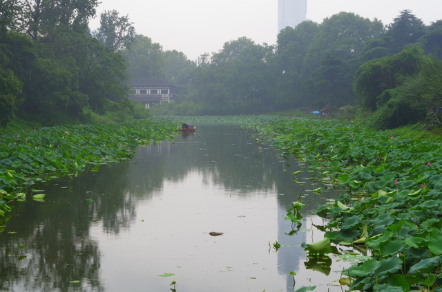  Nanjing: Xuanwuhu (玄武湖)
