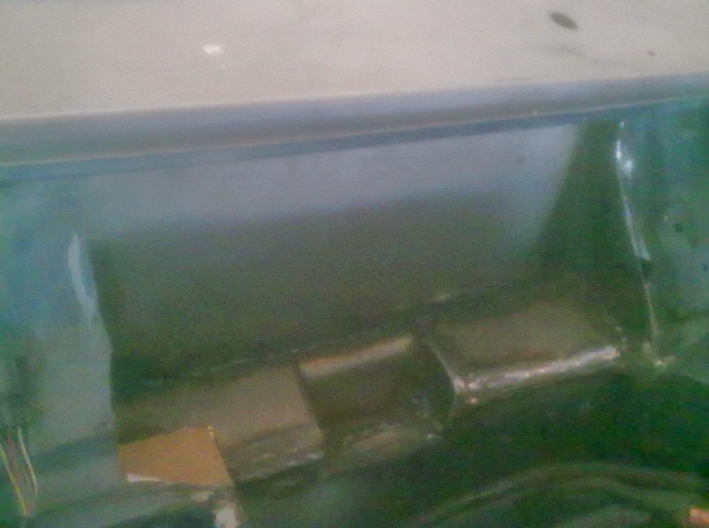 327984 3522812876929 1018200567 o - 