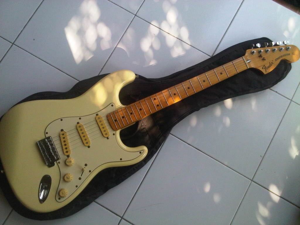 IMG01019-20120911-0821 - 