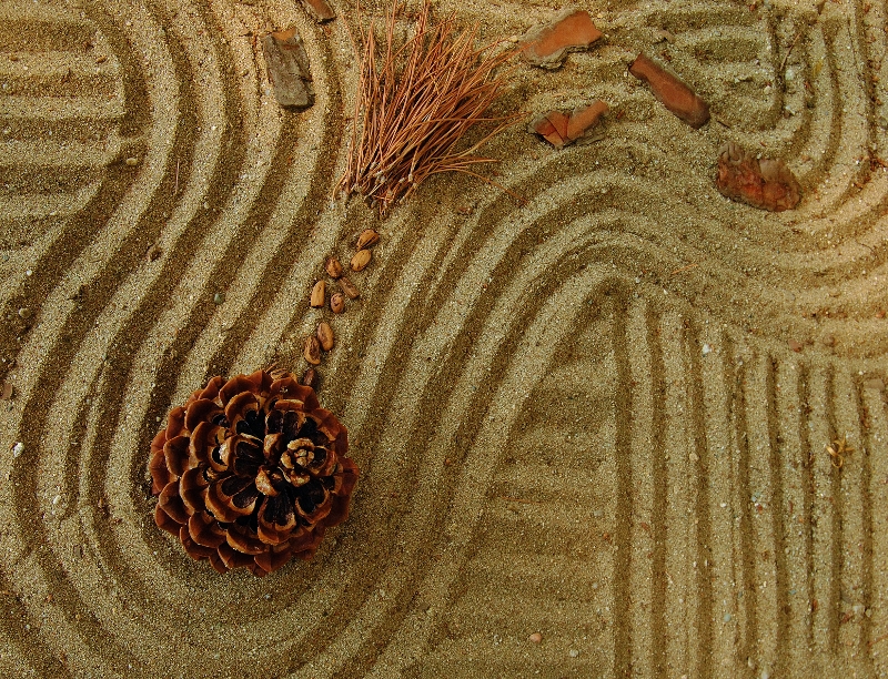 DSC 0024 037 (800x612) - 