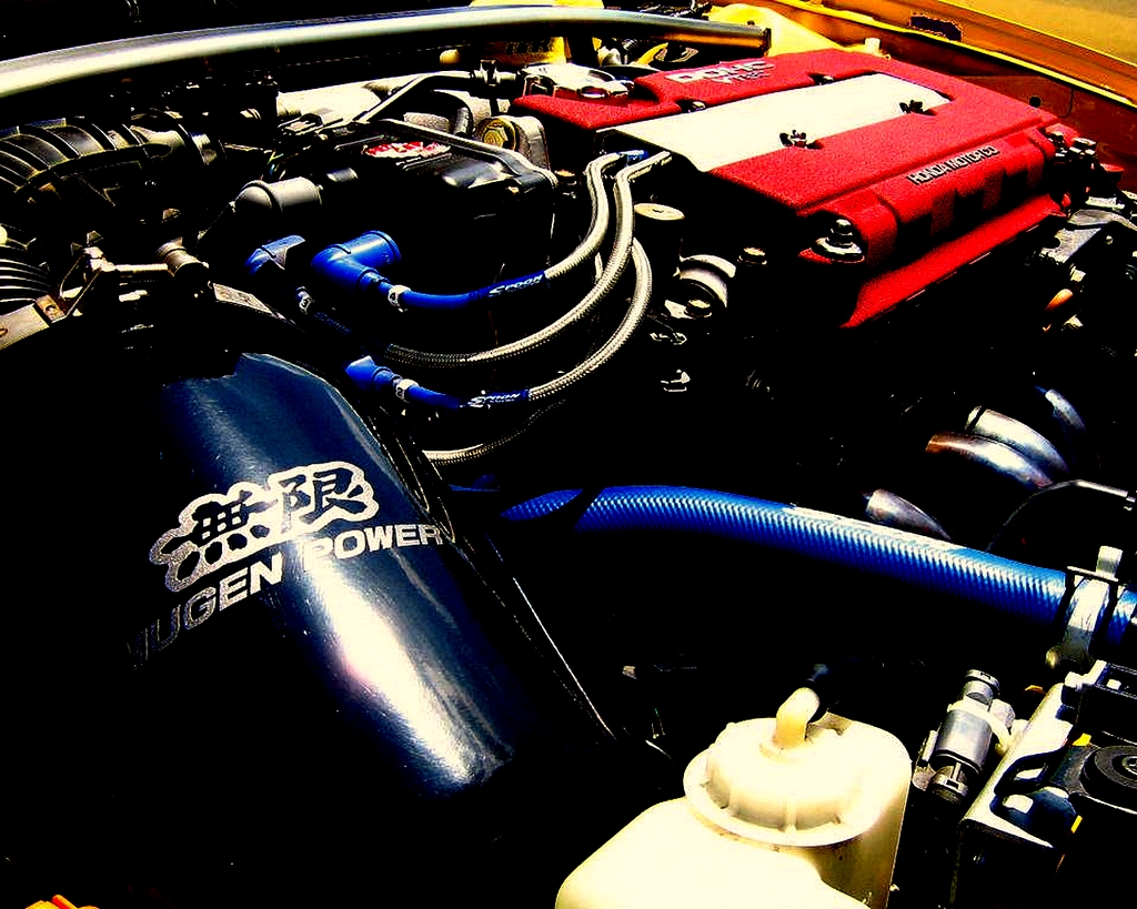 picasabackground-4 - 