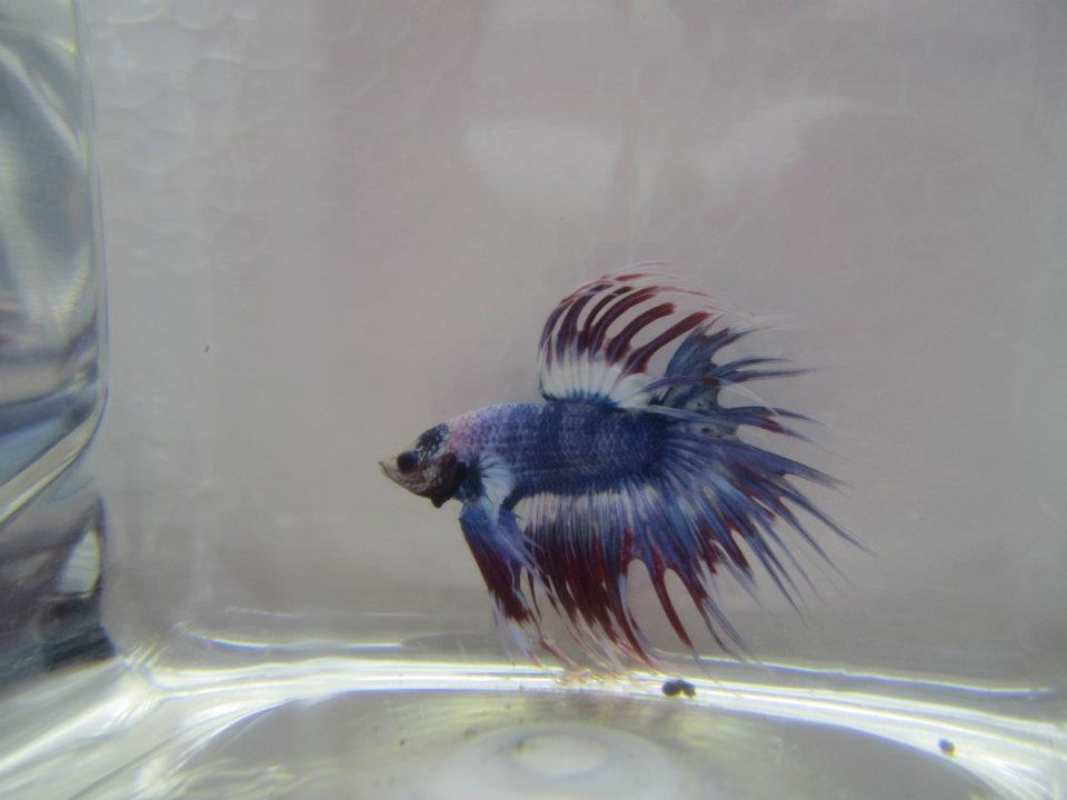 538530 10151528877460313 1196470479 n - 