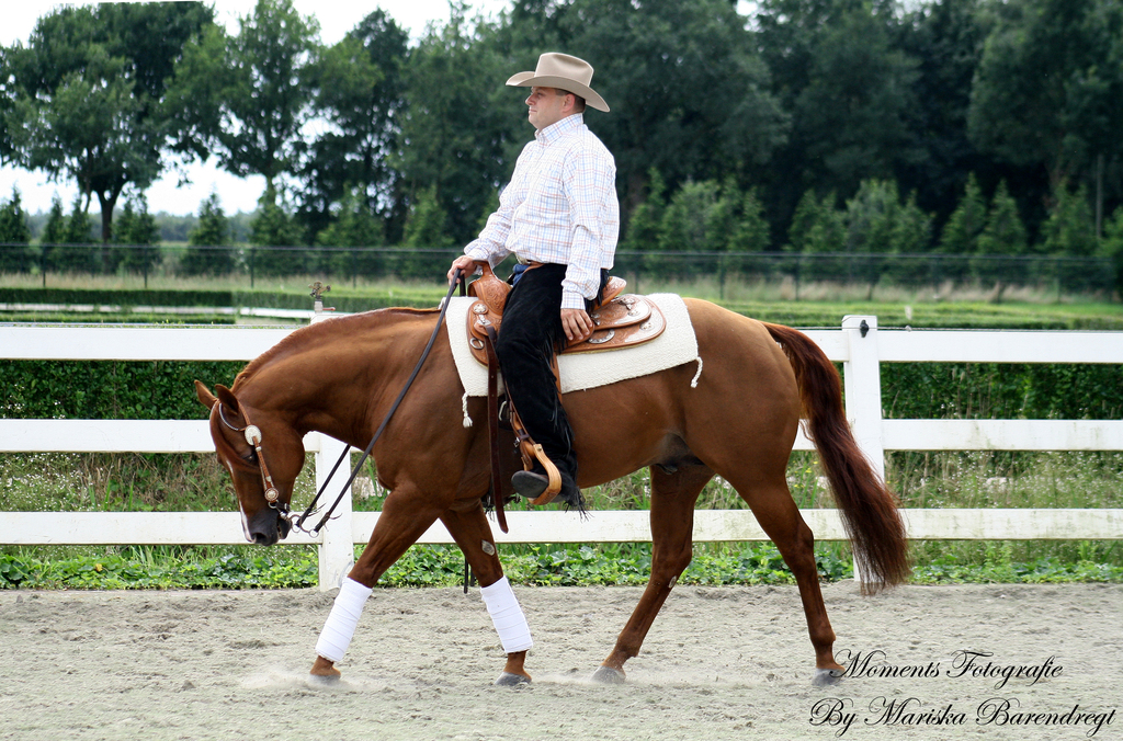 Afbeelding 024kopie - 