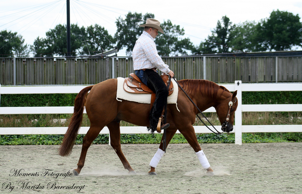 Afbeelding 061kopie - 