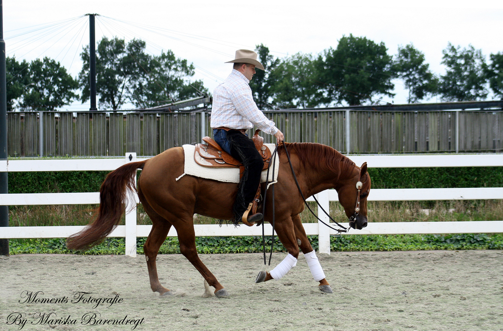 Afbeelding 070kopie - 