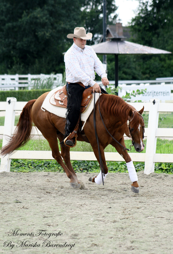 Afbeelding 074kopie - 