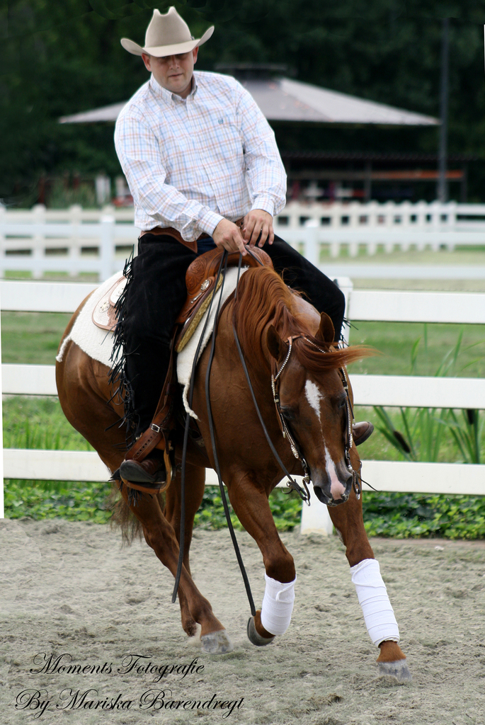 Afbeelding 076kopie - 