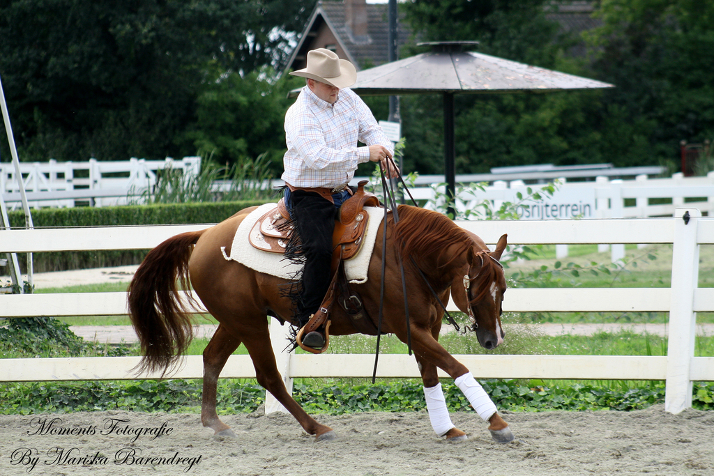 Afbeelding 087kopie - 