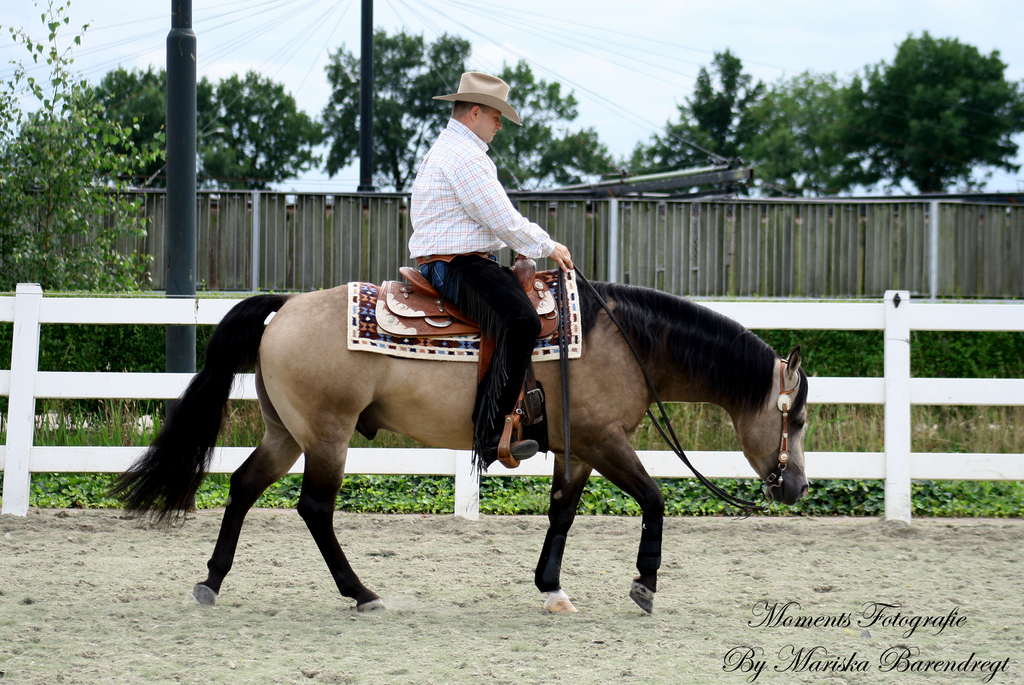 Afbeelding 157kopie - 