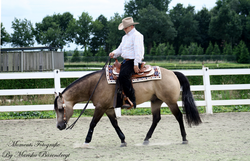 Afbeelding 189kopie - 