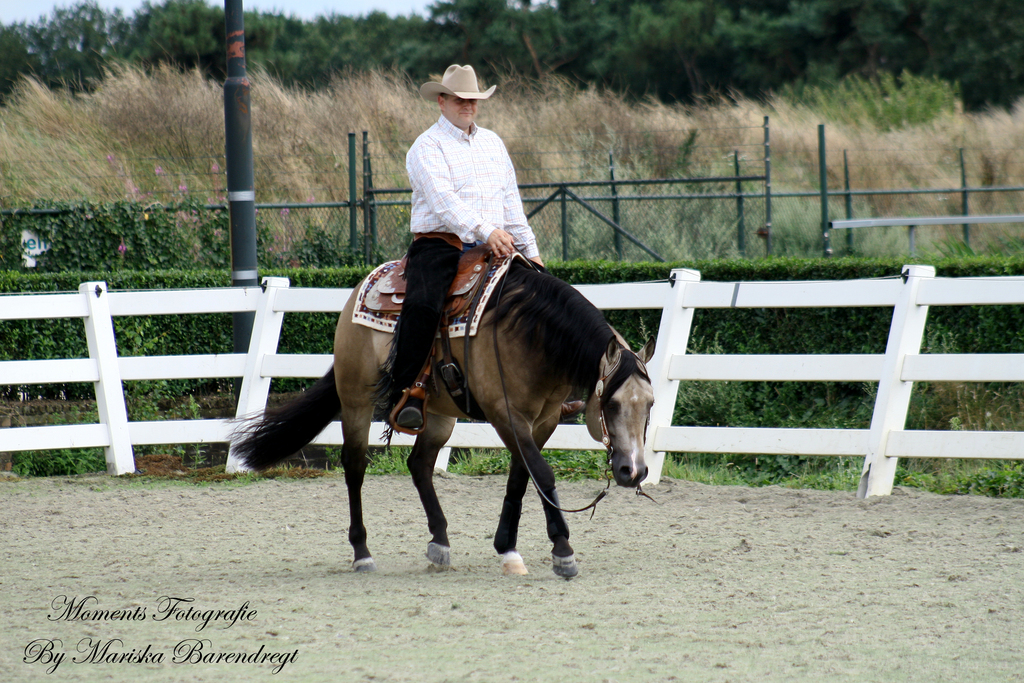 Afbeelding 197kopie - 