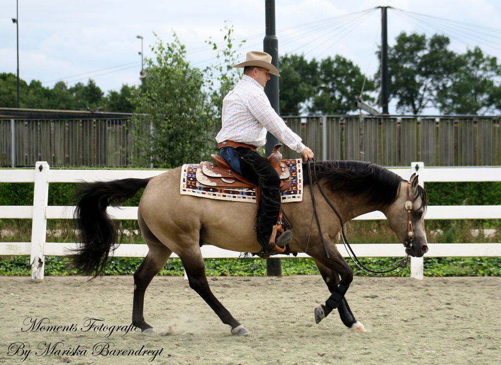 Afbeelding 229kopie - 