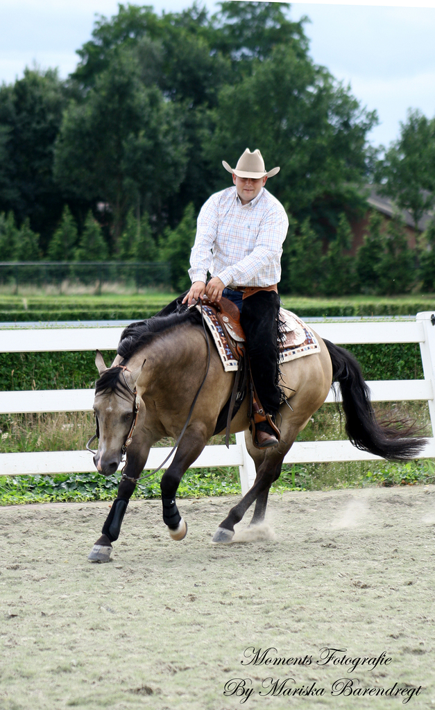 Afbeelding 255kopie - 