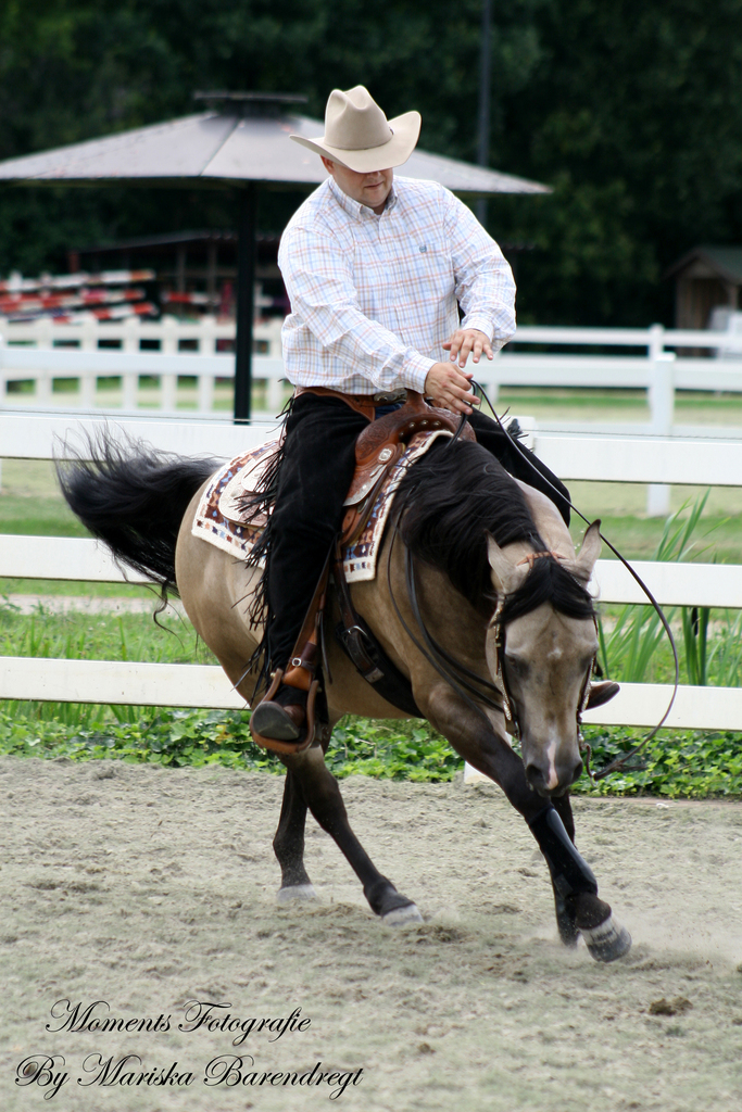 Afbeelding 274kopie - 