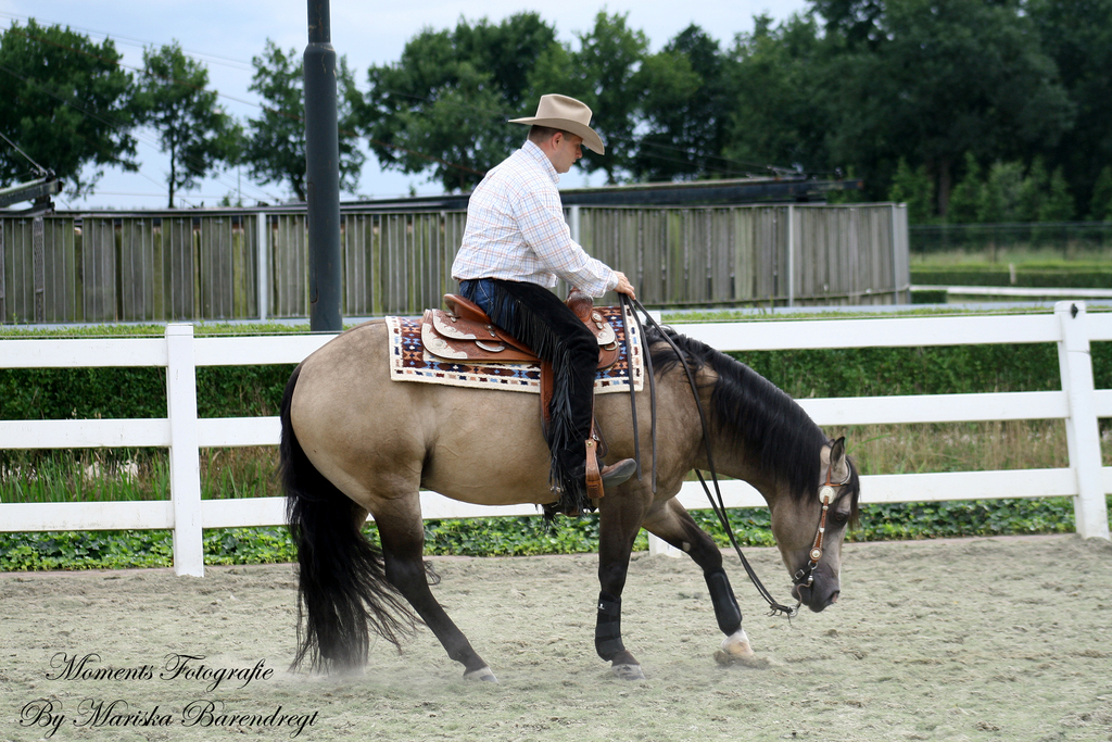 Afbeelding 301kopie - 