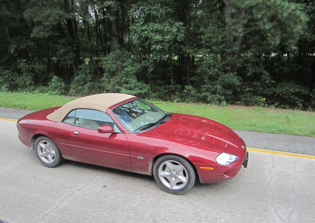 IMG 4683 - 2012 September