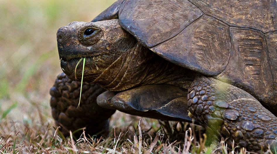 18.at the footer of kili - 