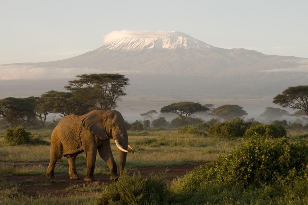19.Amboseli-National-Park- - 