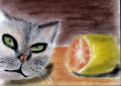 kat en citroen schilderij - 