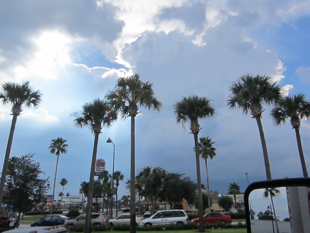 IMG 5542 - 2012 September