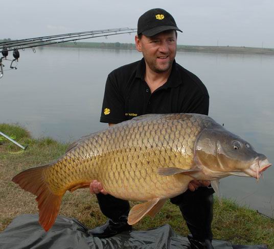 1168689568 2 FT20 saran 1 - 