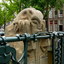 P1120981 - historischamsterdam