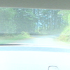 DSC00123 - us 2008