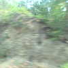 DSC00124 - us 2008