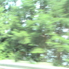 DSC00137 - us 2008