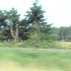 DSC00139 - us 2008