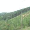 DSC00145 - us 2008