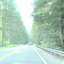 DSC00146 - us 2008