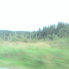 DSC00160 - us 2008