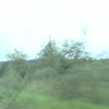 DSC00161 - us 2008