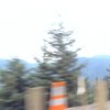 DSC00324 - us 2008