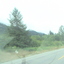 DSC00338 - us 2008